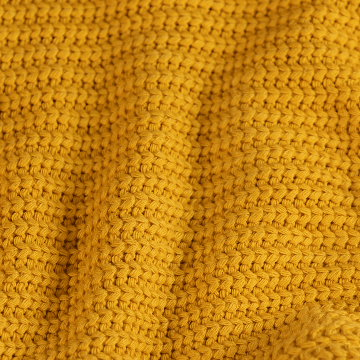 #color_ocher-yellow