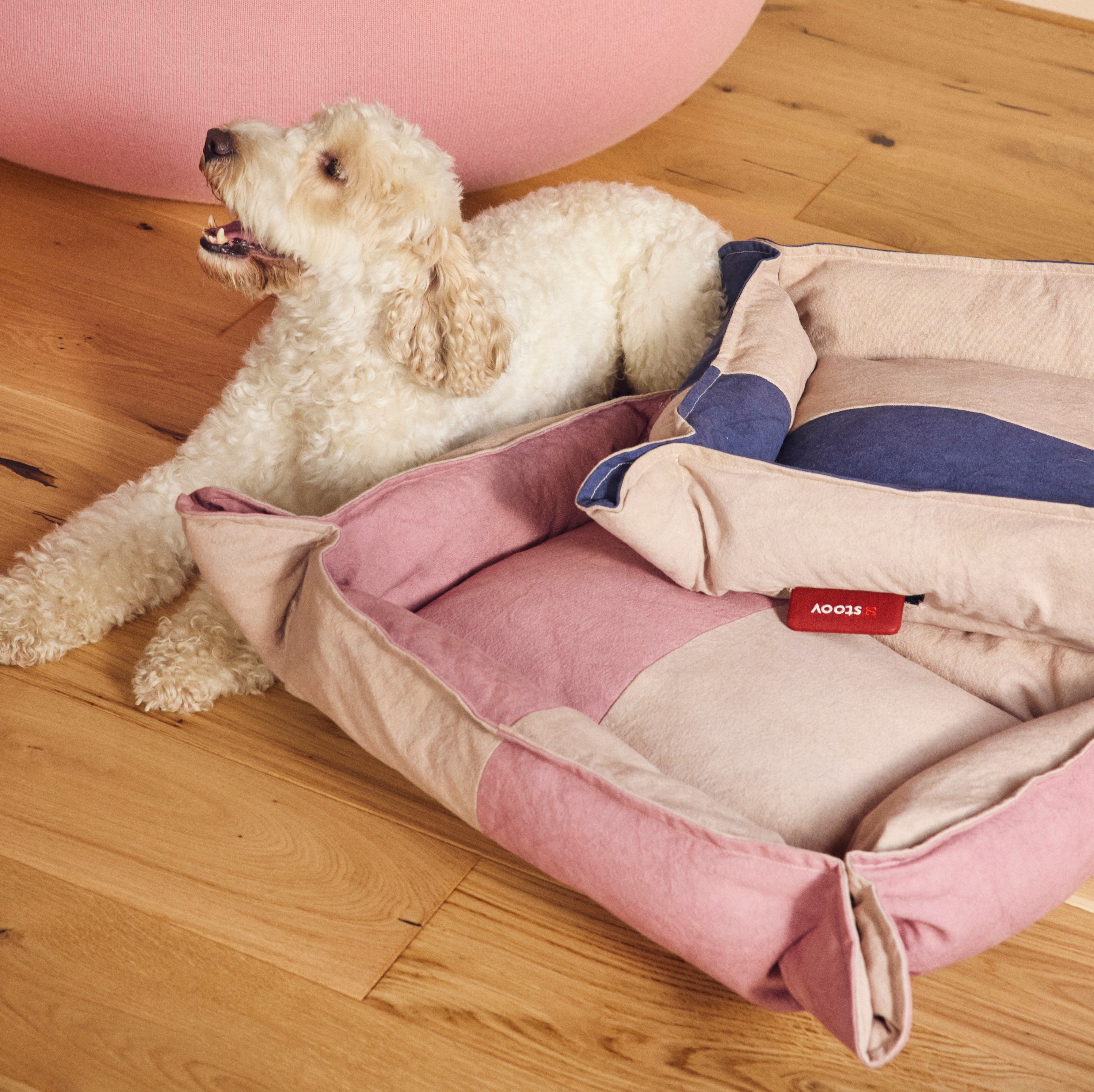 #color_soft-pink #color_midnight-blue