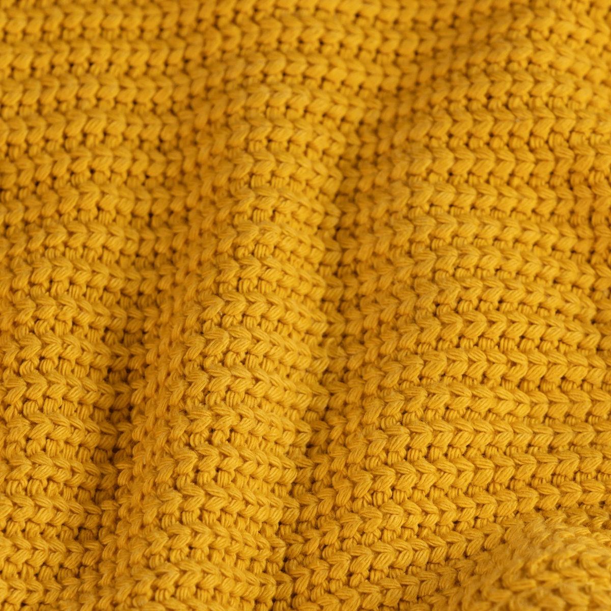 #color_ocher-yellow