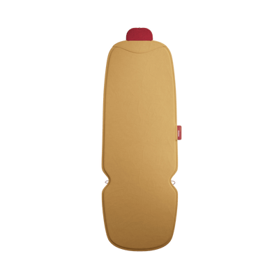 #color_ocher-yellow