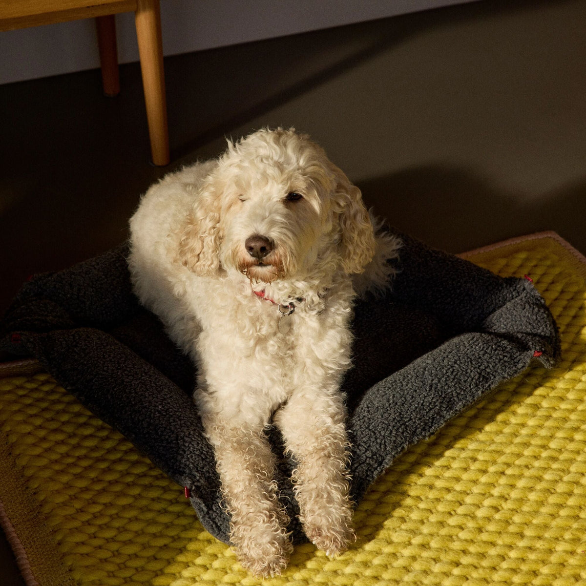 Nook³ XL | Woolly