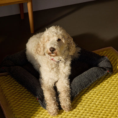 Nook³ XL | Woolly