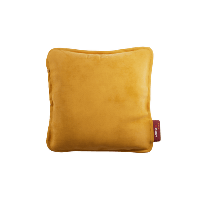 #color_ocher-yellow